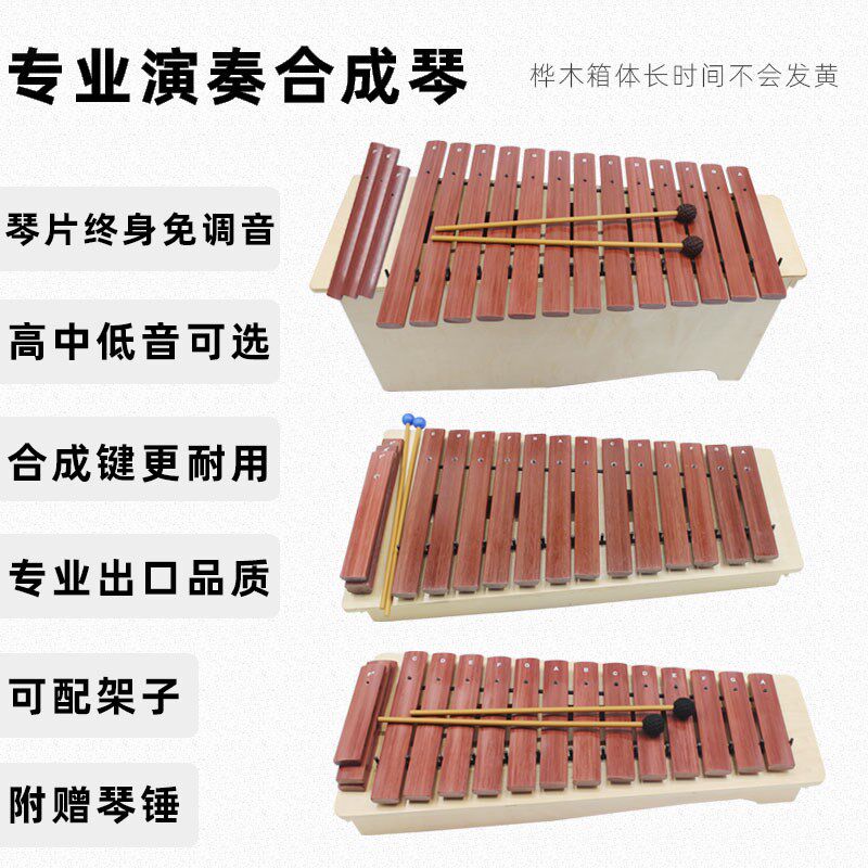 奥尔夫专业打f击乐器手敲琴音乐打琴高中低音变调箱体琴16音合成