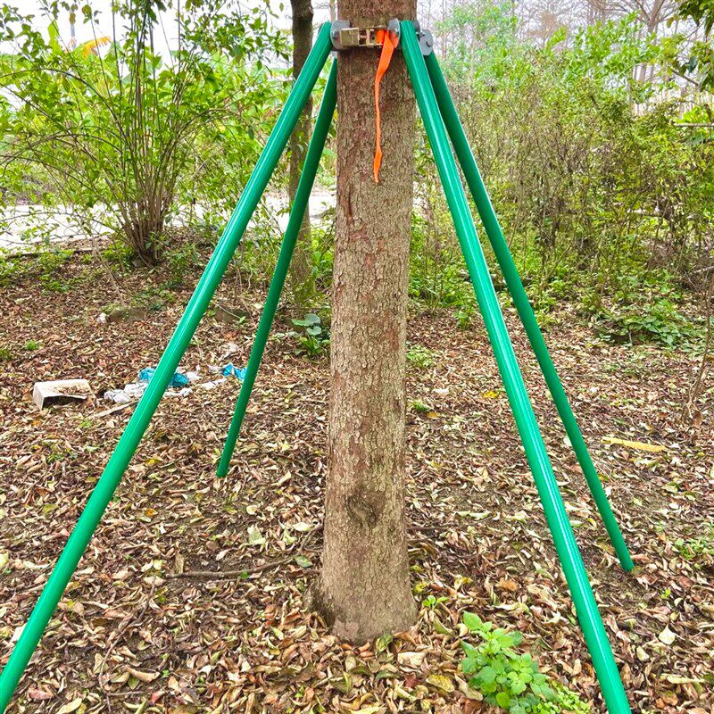 钢管树木支撑架防风支撑杆护树支架固定器苗木绿化园林抱箍树撑杆