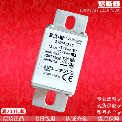 170M1738/170M1739/170M1740/170M1741/170M1742 巴斯曼 熔断器