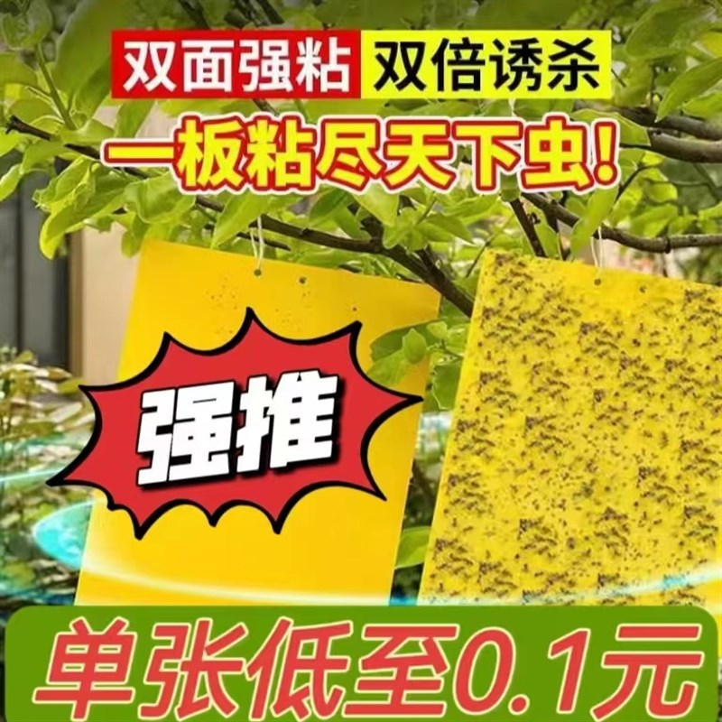 双面粘虫板黄板诱虫板黏虫蓟马贴飞虫粘粉虱杀小黑飞大棚果园茶园