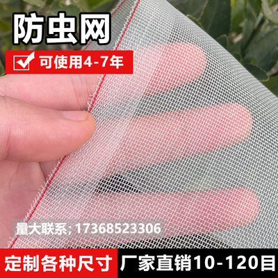 防虫网大棚专用蔬菜加厚60目农用尼龙养殖场防蚊网纱果树防鸟网罩