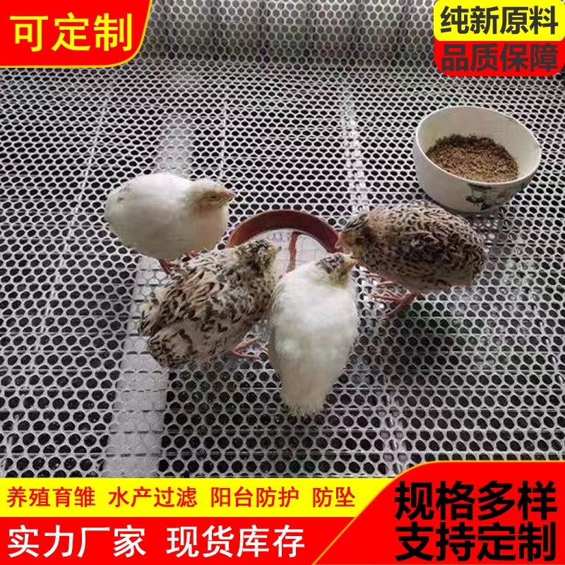 塑料平网养殖网漏粪网床鸡鸭x鹅围栏网脚垫网格片养蜂防护网育雏