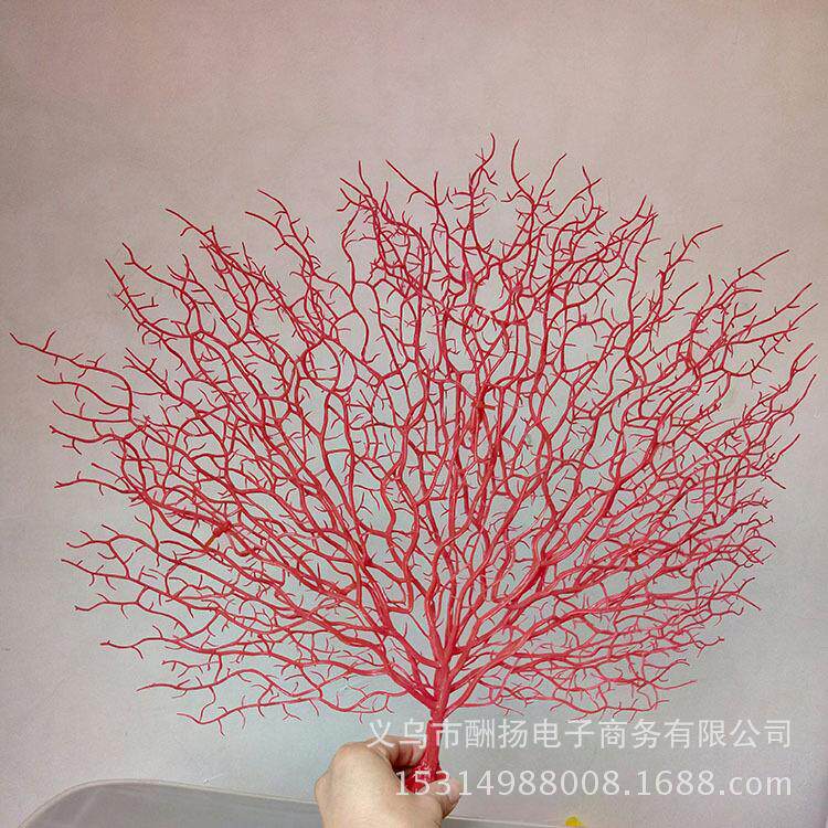 天然贝壳海螺海星仿真海铁树海树鱼缸地台家居装饰品40*45cm