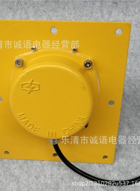 TDP-1胶带机刮板机提升机跑偏开关TPD-I WTDP-I KWTDP-I TSJ-1