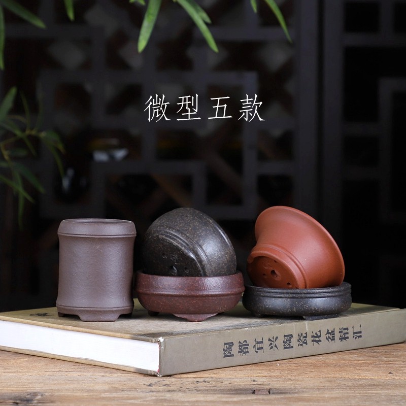 微盆系列5 精选5款 紫砂小花盆 绿植盆栽盆景多肉控养室内花卉,婴童用品,摇篮,淘宝优惠券,粉丝福利购,淘宝优惠卷