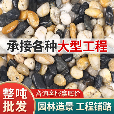 工程鹅卵石天然原石花园变压器铺路铺地造景大号河卵石滤料雨花石