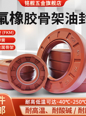 氟胶骨架油封TC/TG耐高温50*60/62/65/68/70/72/74*6/7/8/9/10/12