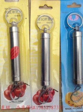 弹簧秤 弹簧称 2.5kg J11023 小学数学 力学仪器 物理实验器材