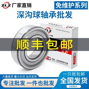 6005 6009 6006 6008 6010三层密封 6007 免维护轴承6004