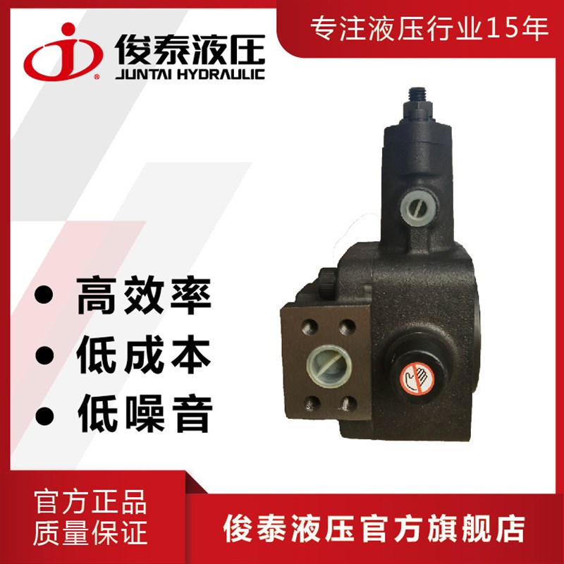 机械设备 沈阳机床用 VPD16/23 液压叶片泵 短轴单向阀液压油泵