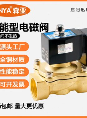 节能全铜防水电磁阀水阀2W常闭长期通电不发热220V气阀4分6分1寸