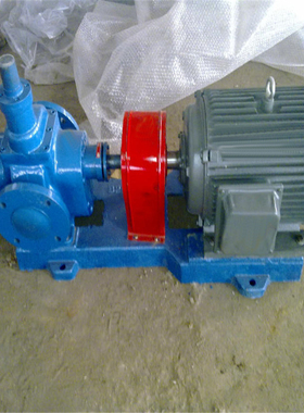 厂销YCB10-0.6圆弧泵 船用泵 齿轮油泵   单独泵头