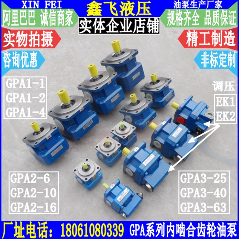 GPA1-2 4 GPA3-63-E-20-R6.3 25 40聚氨酯发泡泵 齿轮泵 磨床油泵