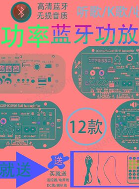 12v24v220v大功率蓝牙低音炮功放板广场舞音箱功放模块话筒扩音器