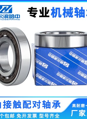 配对角接触球轴承7315 7316 7317 7318 7319 7320 7322 B DB DF/T