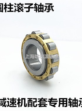 圆柱滚子轴承RN204 205 206 207 208 306 307 309 310 312 313M