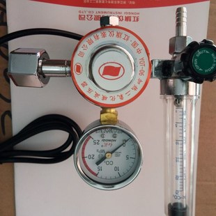 731L二氧化碳电加热表保护焊机表 红旗压力表厂家直销 YQT