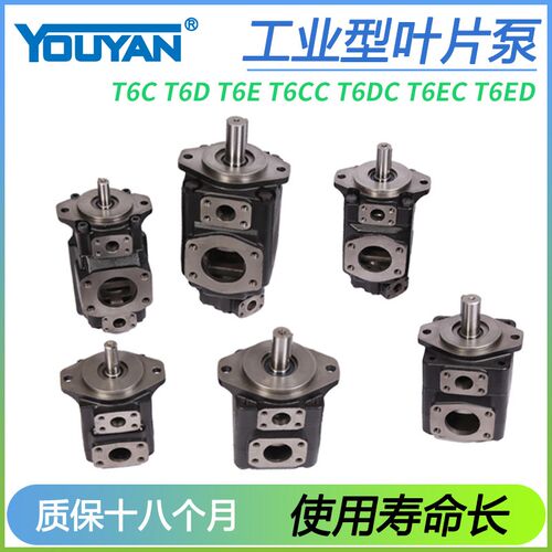 T6C叶片泵T6D T6E T6CC T6DC T6EC T6ED T6CCW 005 06 008 T6DCW