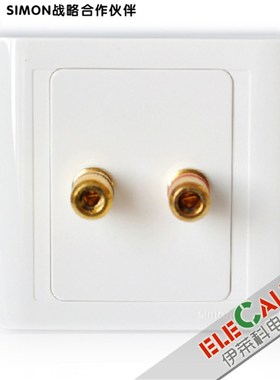 西蒙开关佳家55系列 一位音箱插座 N55401
