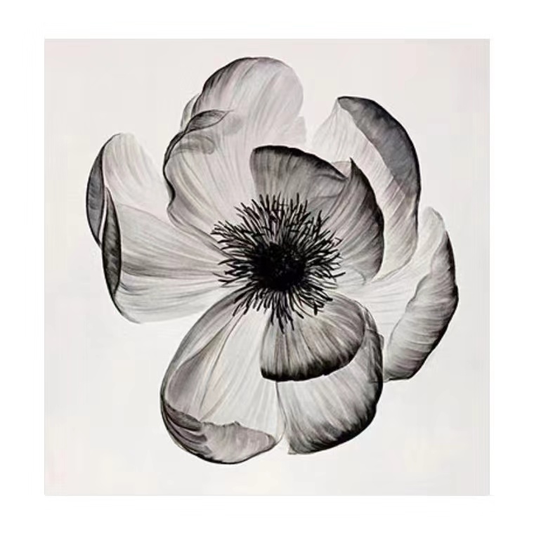 现代简约纯手绘客厅装饰画黑白极简油画抽象花卉卧室床头轻奢挂画图片