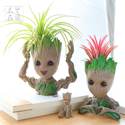 室内桌面摆件绿植空气凤梨树人格鲁特组合套餐盆栽花草