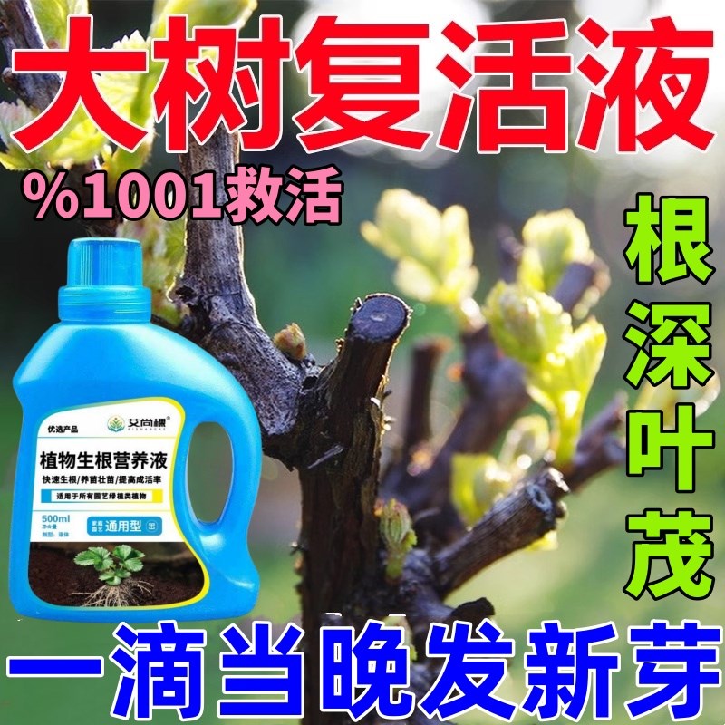 生根药水复活液枯树再生液猛生根原液粉多灵菌营养果树植物复活