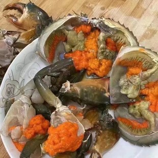 福建东山红鲟膏蟹一只8两左右鲜活螃蟹 活寄活收