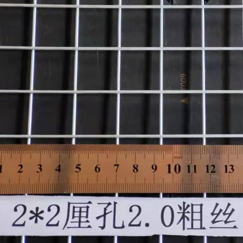 镀锌铁丝网镀锌网片电焊网片镀锌铁丝网养殖N铁网网格狗笼货架2*2