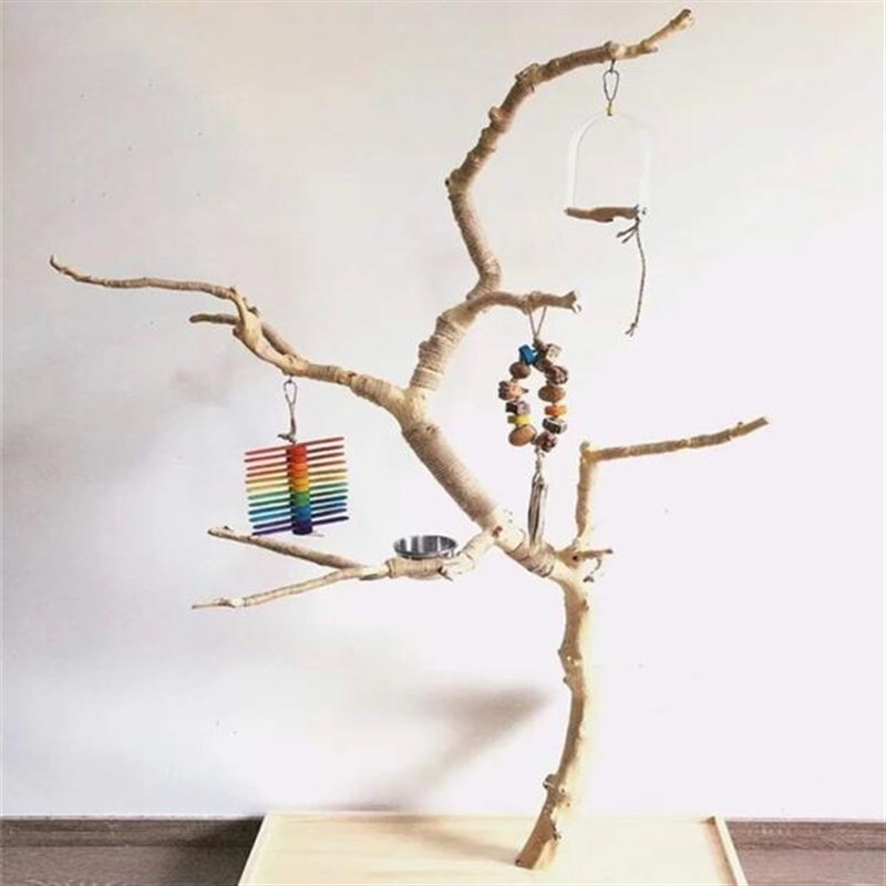 干树枝原木带杈去皮龙骨干枝树干鸟架造型壁挂衣架吊顶树枝装饰