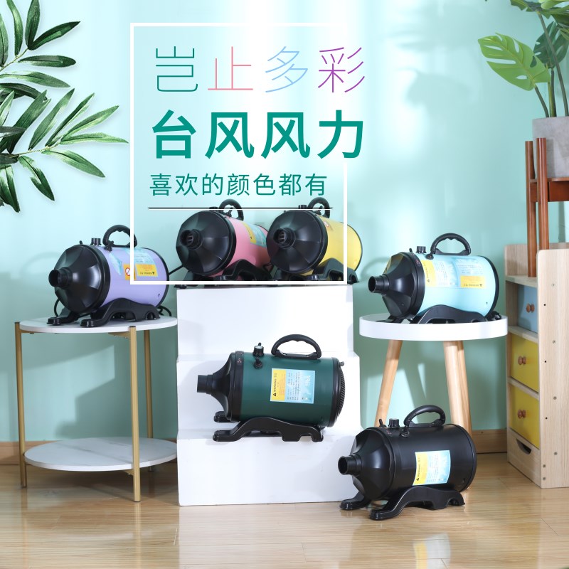 狗狗吹风机大功率宠物吹水机猫咪洗澡烘干吹水机大型犬吹毛神器