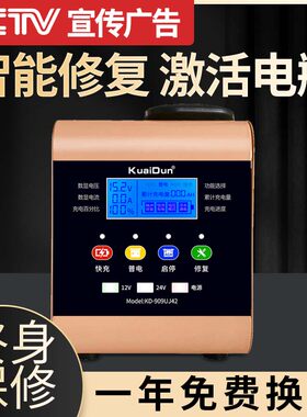 给汽车电瓶充电器十二伏电瓶充电器智能农用四轮车电瓶充电器通用