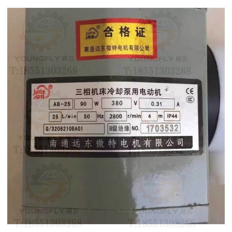 南通远东微特 海日AB-12 25 50 100 200 DB-50 JCB-22 45三相电泵