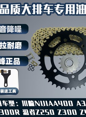 适用川崎忍者Ninja400 EX300R Z250改装牙盘链盘链轮油封链条套链