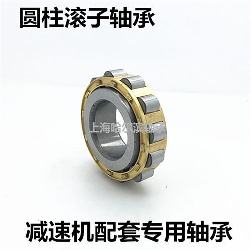 圆柱滚子轴承RN204 205 206 207 208 306 307 309 310 312 313M
