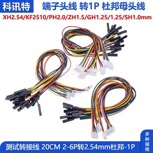 杜邦2.54 1.25mm胶壳线2P PH2.0 转接线信号端子线 1p转XH2.54