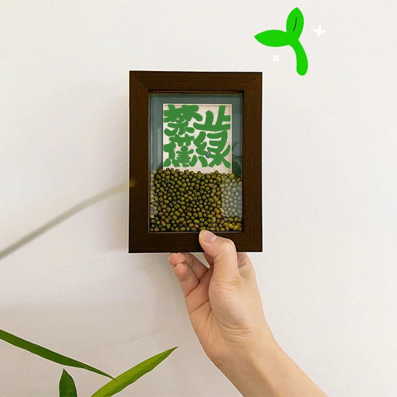 禁止蕉绿创意绿豆相框中空立体摆台办公室工位桌面卧室画框小摆件