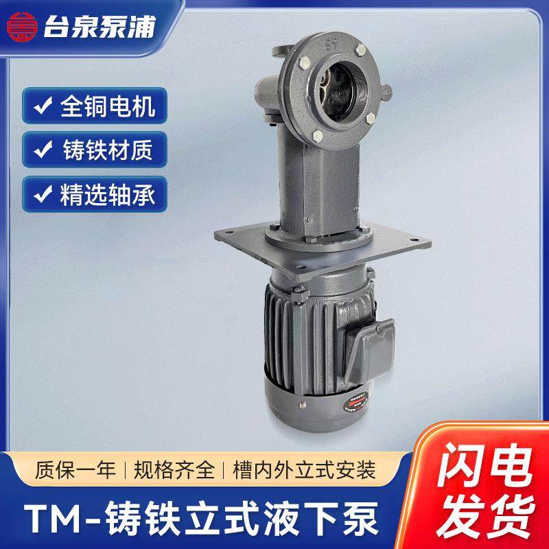 TM-铸铁立式液下泵渣浆泵抽沙泵吸沙泵立式泥浆泵池塘清淤抽粪泵,五金/工具,循环泵/热水循环泵,淘宝优惠券,粉丝福利购,淘宝优惠卷