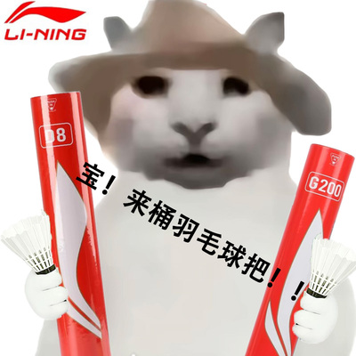清仓/成本价出售】李宁羽毛球耐打D8/G100S/G200/G300S/G600/G800