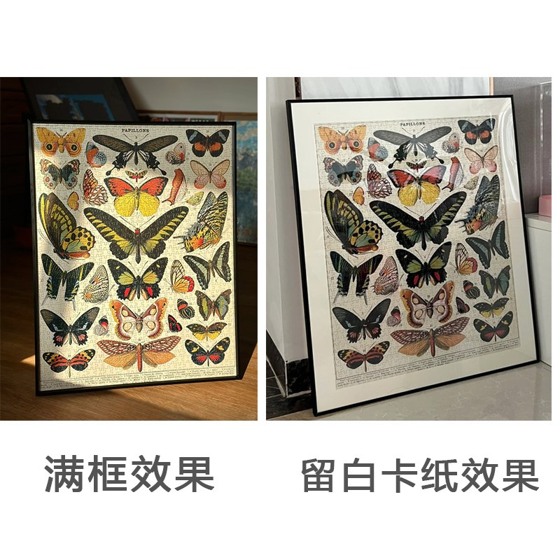Cvllini植物花卉蝴蝶拼图框1000片0片架裱框*55*画框相框