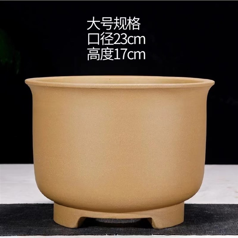 多肉花盆现代紫砂点彩花盆四季君子兰花盆丶仙人球盆景盆