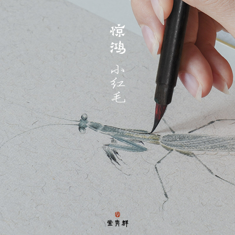 群青堂 惊鸿 毛勾线笔国画工笔鸟白描线描草虫小楷抄经