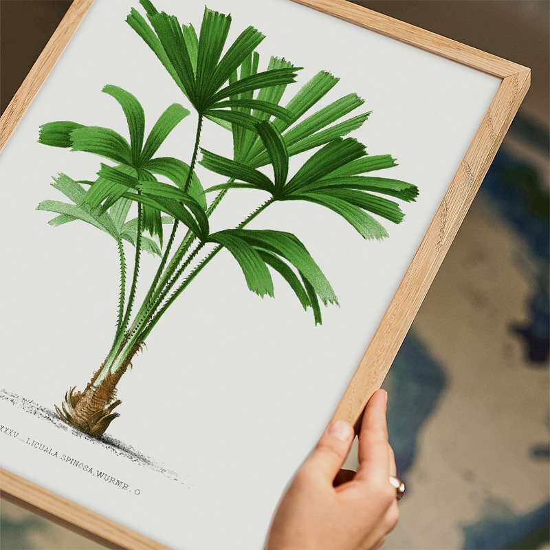 简约北欧现代客厅挂画小清新背景自然装饰画原木风清新绿植壁画