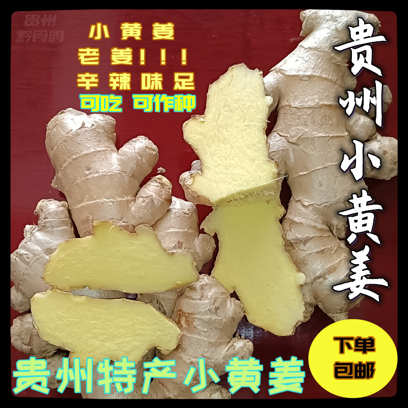 正宗贵州高山小黄姜镇宁农家自种生姜现挖老姜煲汤土姜新鲜月子姜