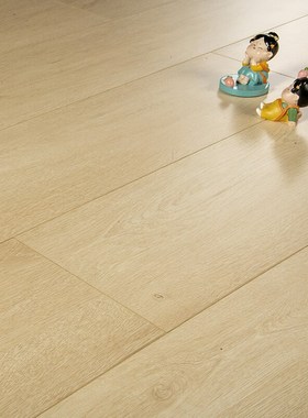 补贴至高15%圣象强化复合木地板ENF环保家用抗菌锁扣木地板 N0621