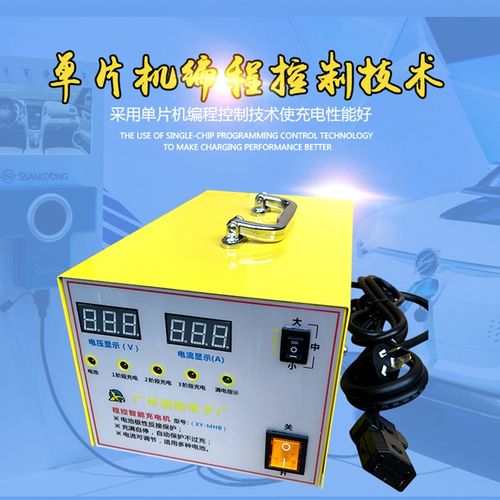 湘阳25A电动四轮机观光车代步车巡逻车磷酸铁锂电池双显示充电器