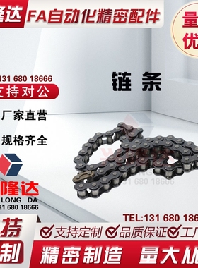 CHEEC链条 CHEED/CHE11/CHE15/CHES25/35/40/50/60/100/80/120