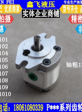 P101/P102/P104/P105/P106/P107/P108/P109 RP01GT齿轮油泵12.7轴