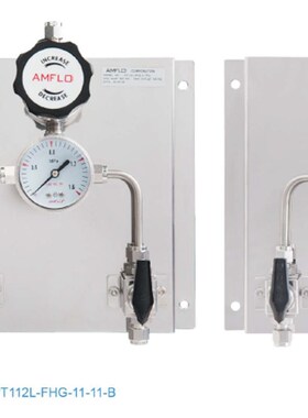 AMFLO敦阳不锈钢PT11 系列特气控制终端