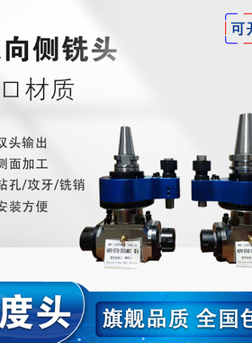 角度头加长侧铣头双头输出CNC数控加工中心横铣头BT30/40/50 90度