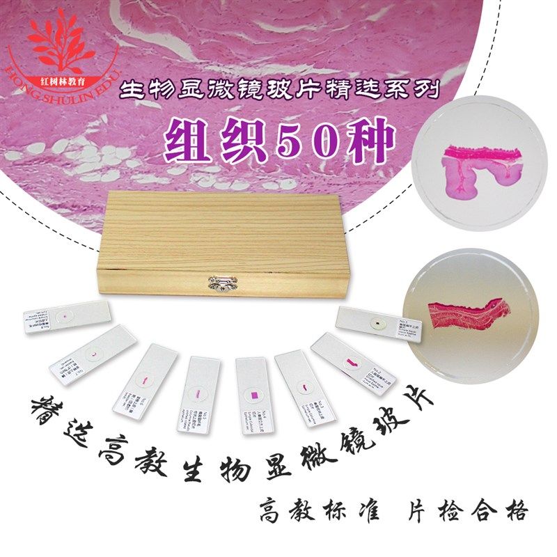 精选50种人体正常组织切片木盒装HE染色医学院高教生物显微镜玻片